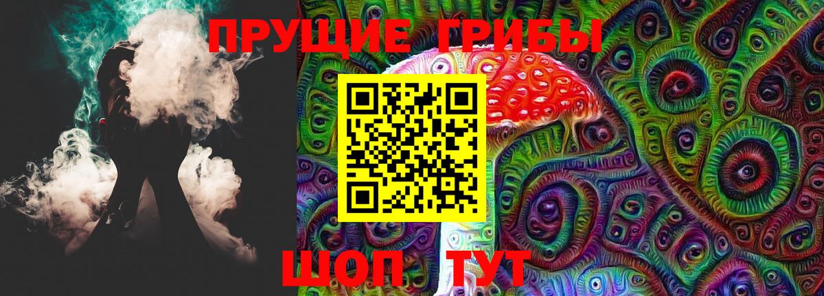 Псилоцибиновые грибы Psilocybe Нефтекумск